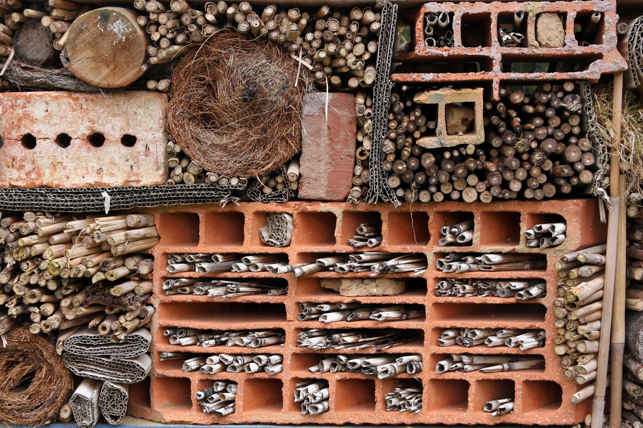 Eine große Wand mit vielen Insektenstock-Möglichkeiten.