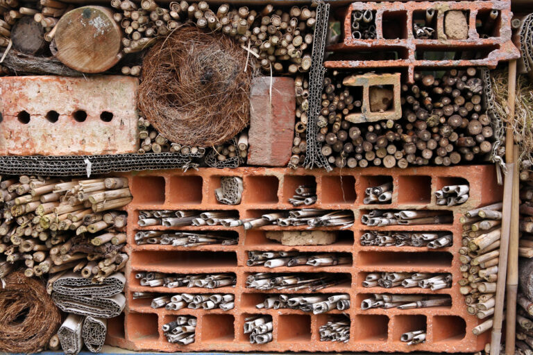 Eine große Wand mit vielen Insektenstock-Möglichkeiten.