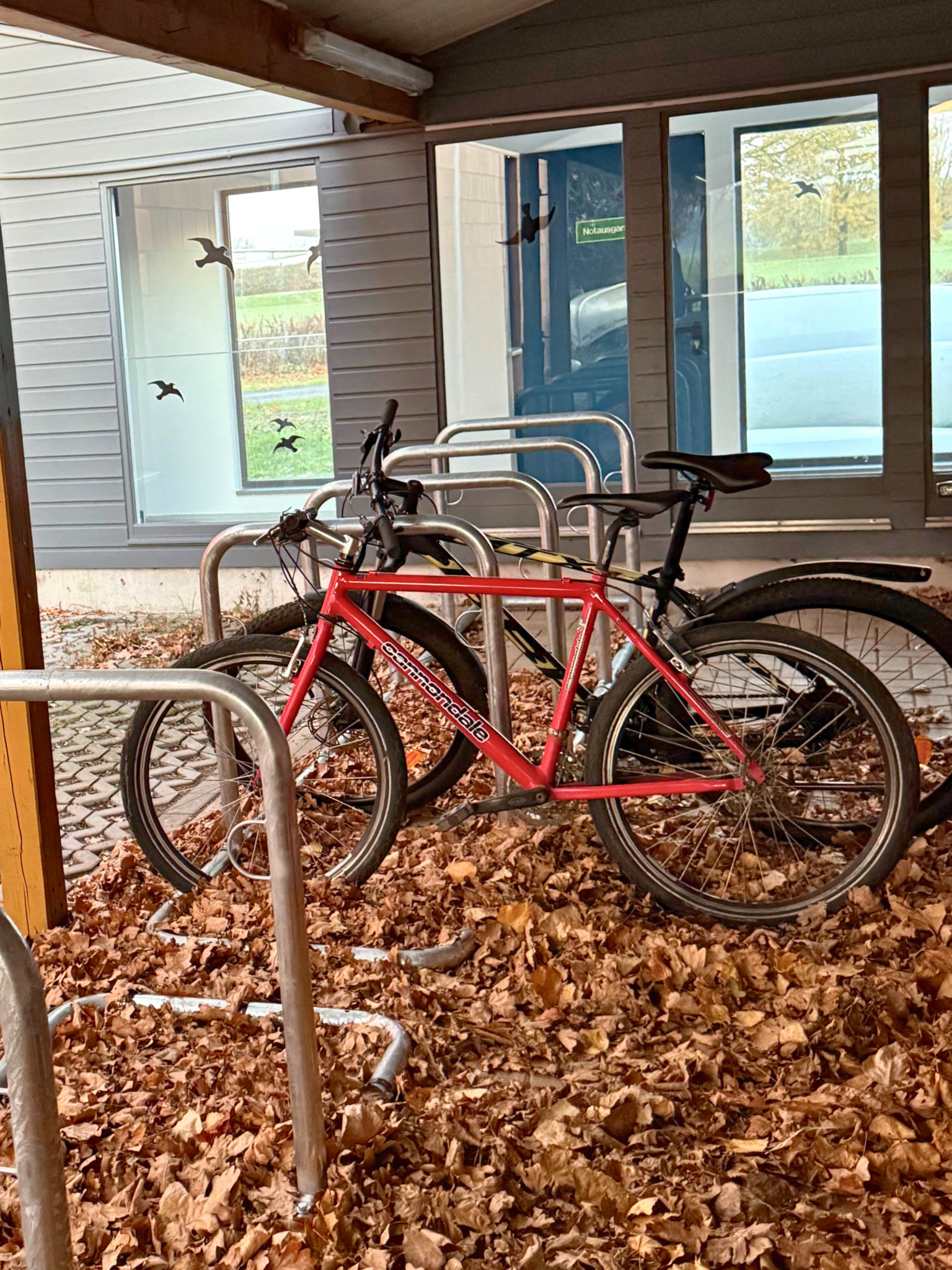 Ein überdachter Fahrradständer, in dem zwei Fahrräder parken.