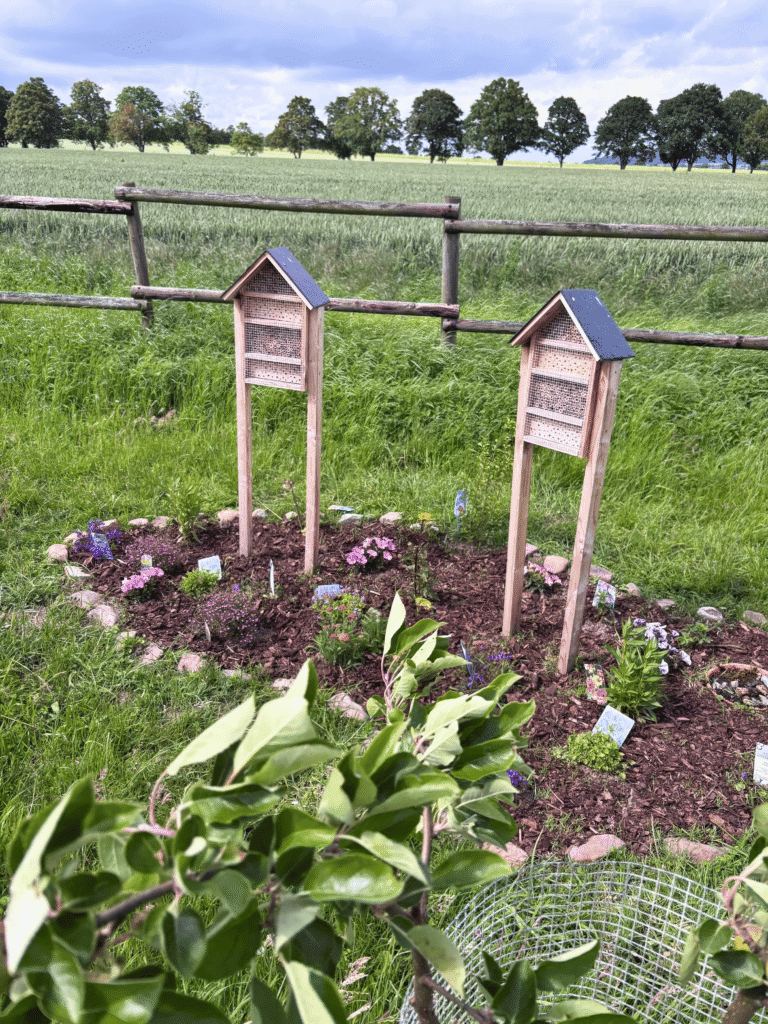 Zwei hölzerne Insektenhotels stehen in einem neu angelegten, mit Steinen umrandeten Blumenbeet auf einer Wiese.